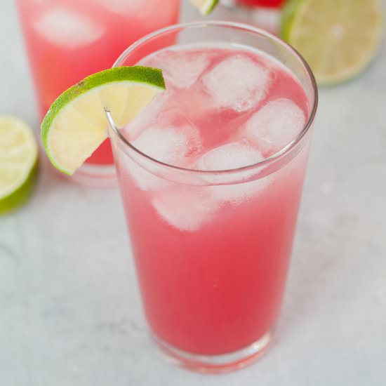 sea breeze cocktal - Recipe photo by everyday-delicious.com
