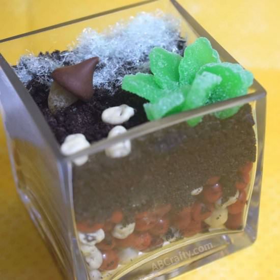 Edible Terrarium - Recipe photo by AB Crafty
