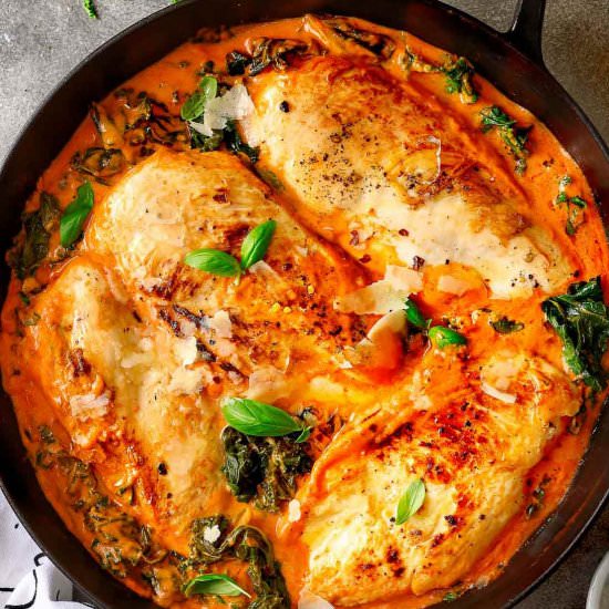 Creamy Tomato Chicken - Recipe photo by Chefjar