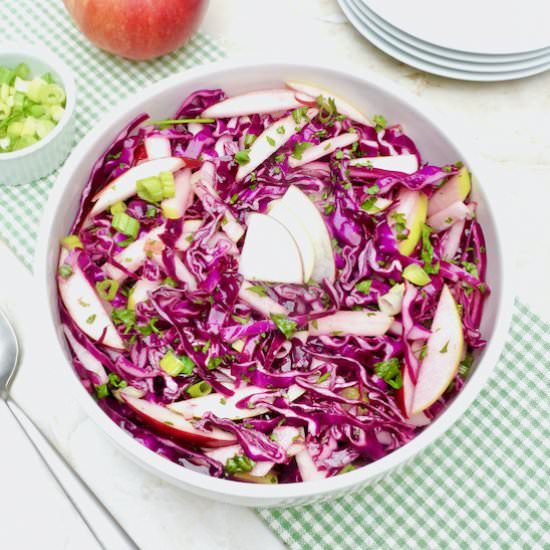 Apple Slaw - Recipe photo by anothertablespoon