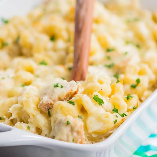 Chicken Alfredo Pasta Bake - Recipe photo by pumpkinnspice