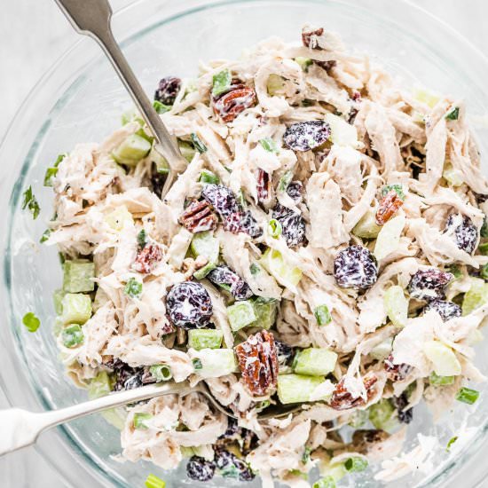 Cranberry Chicken Salad - Recipe photo by The Endless Meal