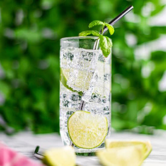 Gin Mojito - Recipe photo by The Littlest Crumb