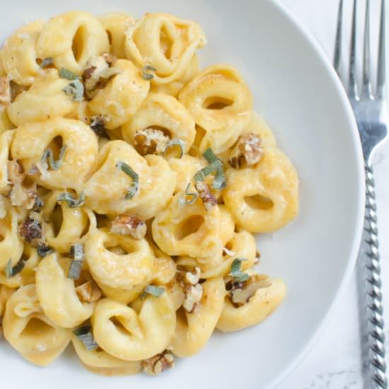Pumpkin Alfredo Tortellini - Recipe photo by fakeginger