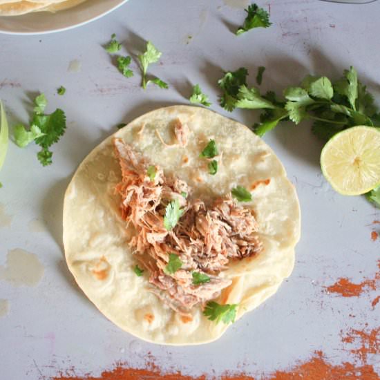 Easy Instant Pot Carnitas - Recipe photo by APinchofCrazy