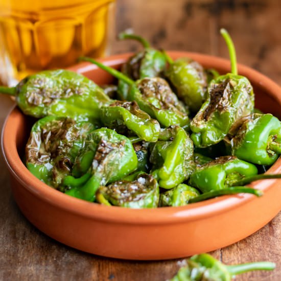 Blistered Padron Peppers - Recipe photo by veggie desserts