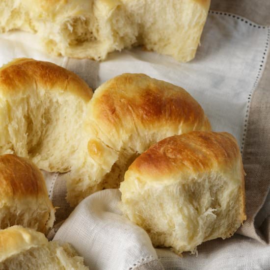 Homemade Dinner Rolls - Recipe photo by Barbara Curry