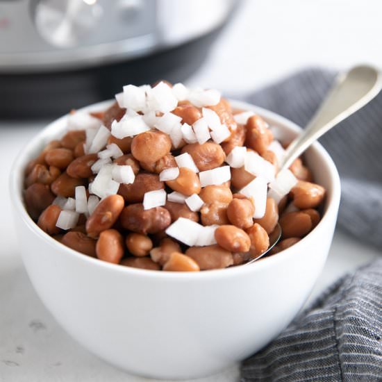 Instant Pot Pinto Beans - Recipe photo by theforkedspoon