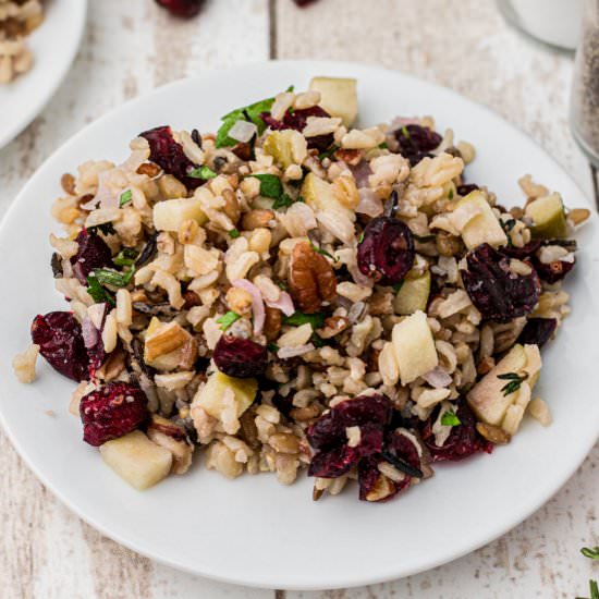 Cranberry Apple Rice Pilaf - Recipe photo by thecaglediaries