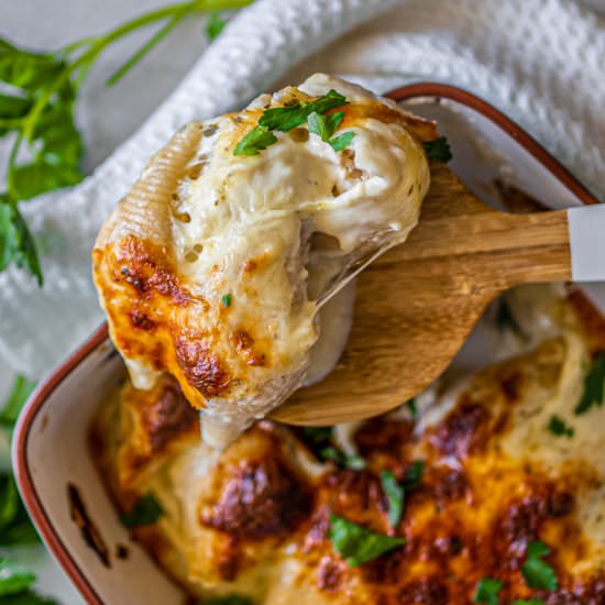 BAKED CHICKEN ALFREDO PASTA SHELLS - Recipe photo by TaylahsKitchen