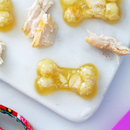 Chicken Jello for Dogs - Recipe photo by Wearenotmartha