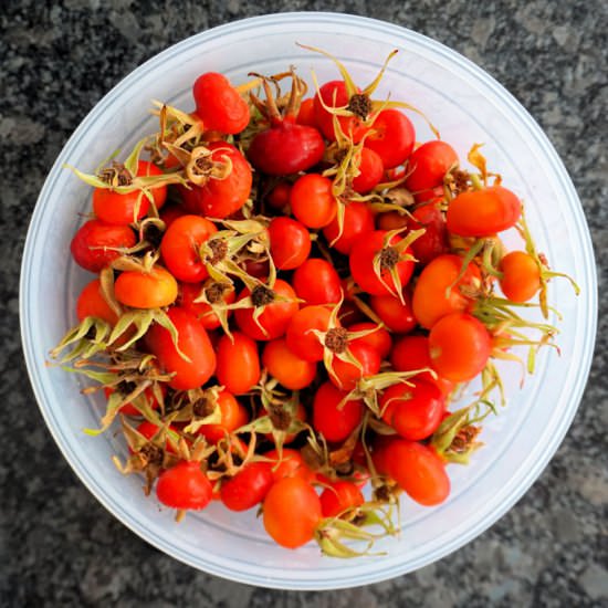 rose hip jam - Recipe photo by Cuisine Fiend