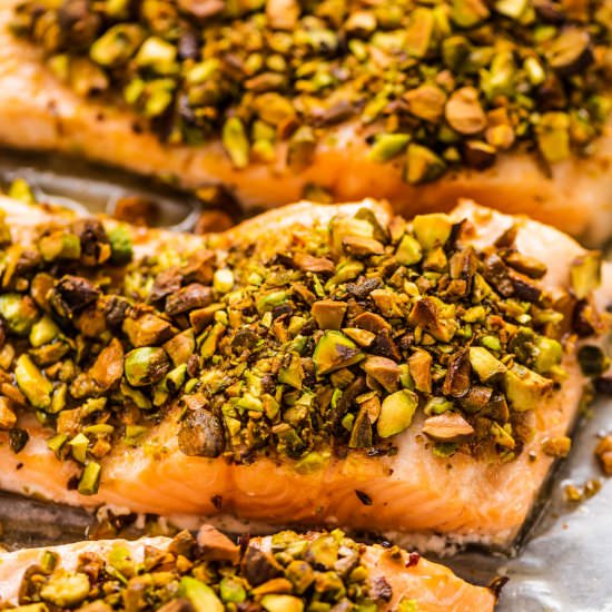 Pistachio Crusted Salmon - Recipe photo by The Endless Meal