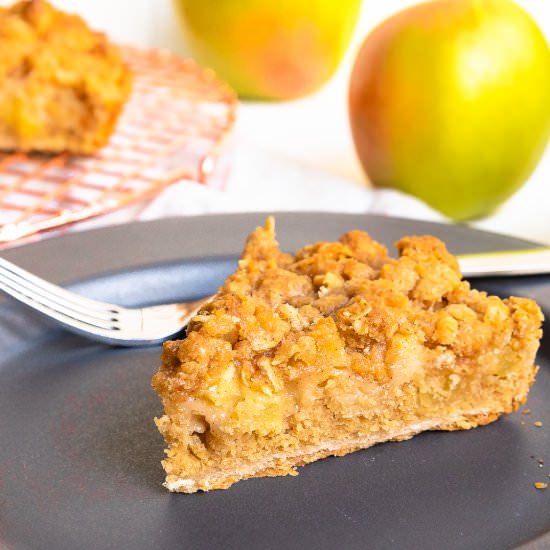 Apple Oatmeal Crumb Tarts - Recipe photo by Cinnamon Shtick