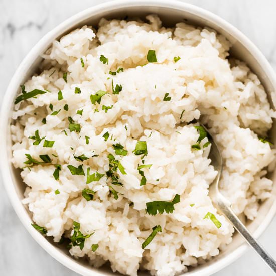 Coconut Rice - Recipe photo by The Endless Meal
