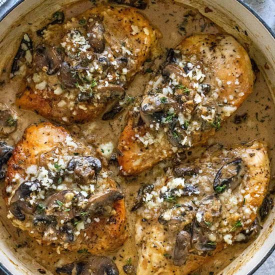 Chicken and Mushroom - Recipe photo by Jessica Gavin