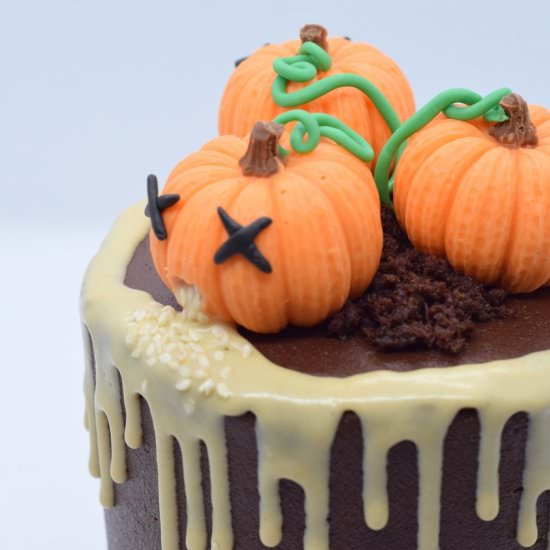 Poorly Pumpkin Patch Mini Cake - Recipe photo by Sweet Mouth Joy