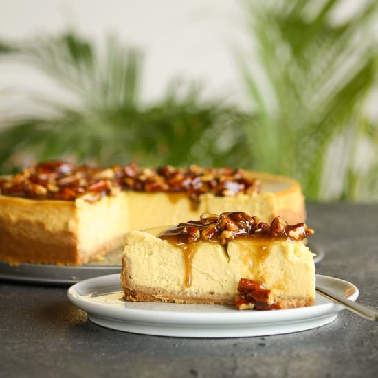 Pumpkin Pecan Cheesecake - Recipe photo by The Desserted Girl