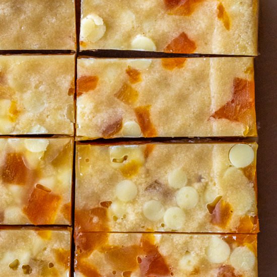 Almond, Chocolate, Apricot Bars - Recipe photo by primalwellnesscoach