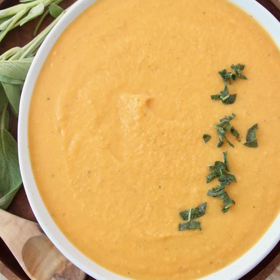 Butternut Squash Pasta Sauce - Recipe photo by Whitney Bond