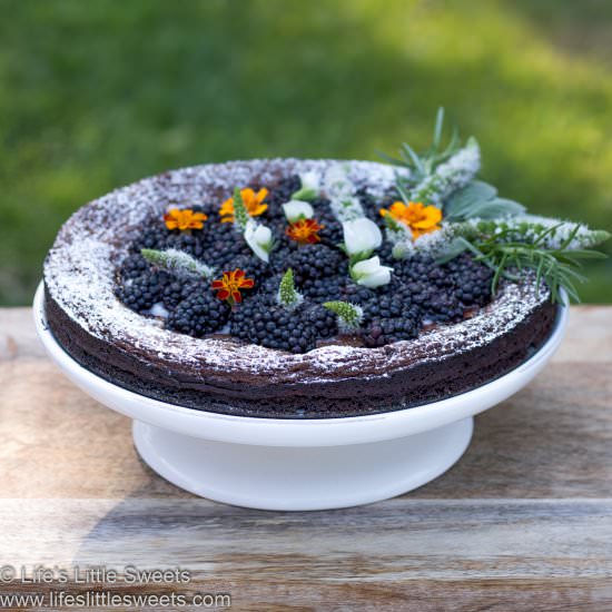 Flourless Chocolate Cake - Recipe photo by LifesLittleSweets