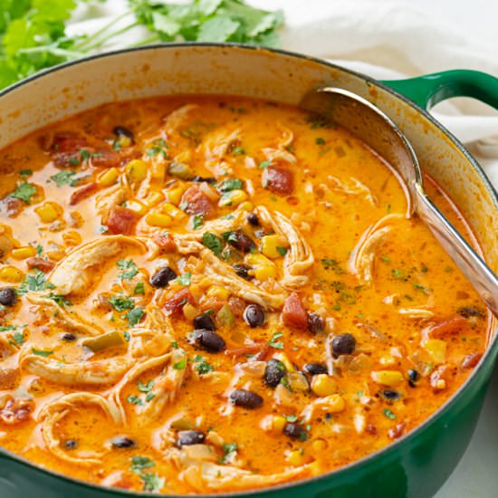 Chicken Enchilada Soup - Recipe photo by TheCozyCook