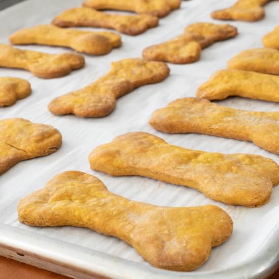 Pumpkin Peanut Butter Dog Treats - Recipe photo by For the Love of Cooking