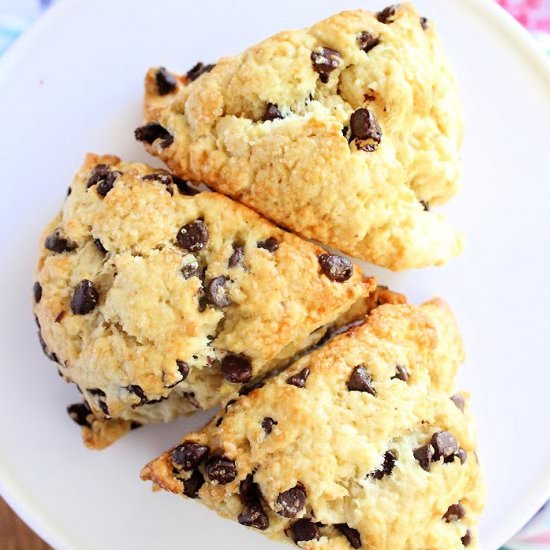 Chocolate Chip Scones - Recipe photo by countertopcooking
