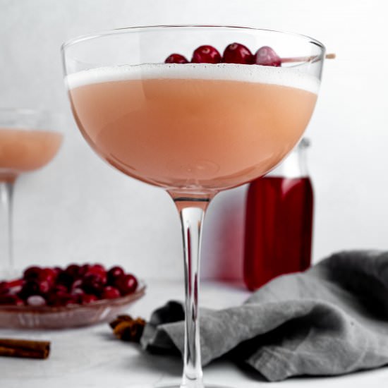 spiced gin fizz - Recipe photo by whisked away kitchen