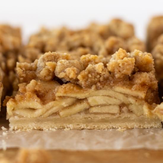 Dutch Apple Pie Bars - Recipe photo by practicallyhomemade