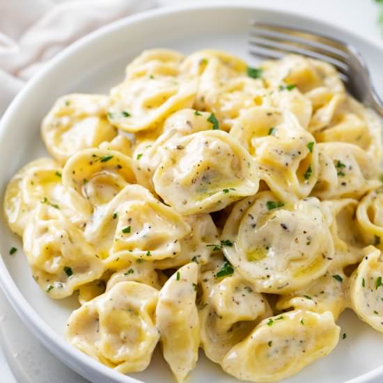 Tortellini Sauce - Recipe photo by TheCozyCook