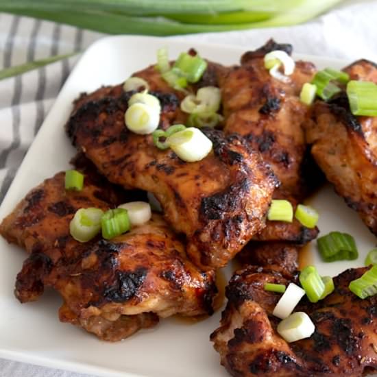 Easy Chicken Thigh Marinade - Recipe photo by laughingspatula.com