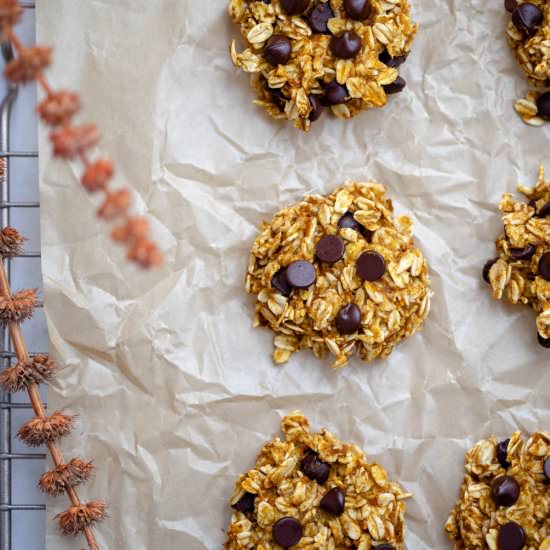 5-Ingredient Pumpkin Cookies - Recipe photo by caiteyjay