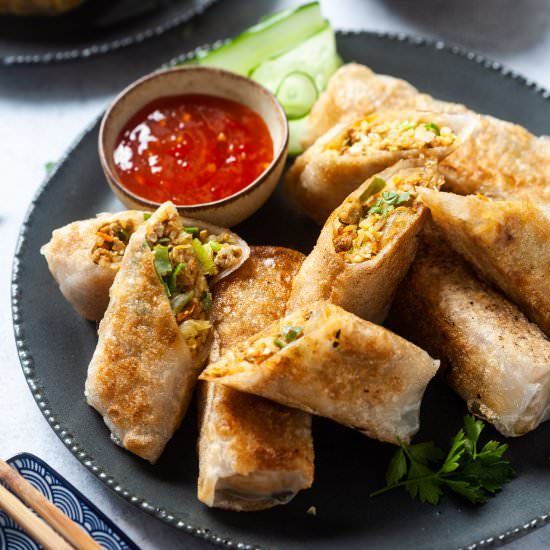 Crispy Pan-Fried Tofu Spring Rolls - Recipe photo by vibrantplate