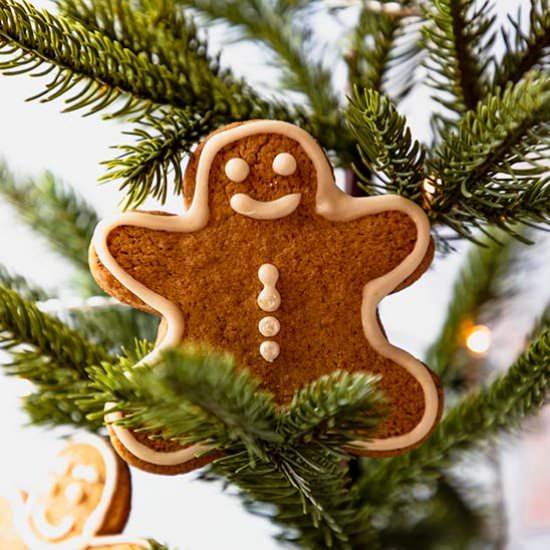 Gluten-free Gingerbread Cookies - Recipe photo by ScienceandCrumbs
