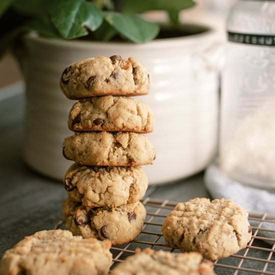 Coconut Flour Oatmeal Cookies - Recipe photo by LifeAroundtheTable