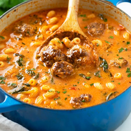 Meatball Soup - Recipe photo by TheCozyCook