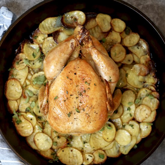 Cast Iron Chicken with Potatoes - Recipe photo by simmerandsauce