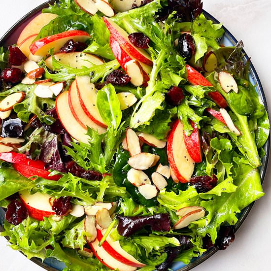 Apple Salad - Recipe photo by 1PotRecipes
