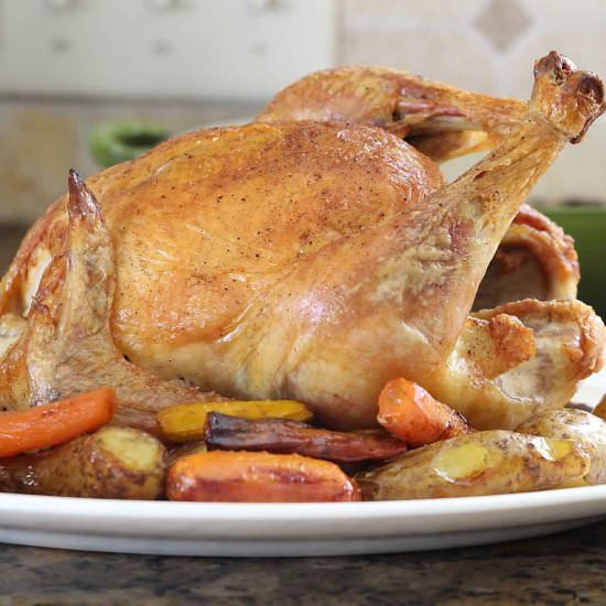Dutch Oven Whole Chicken - Recipe photo by iwilkerson