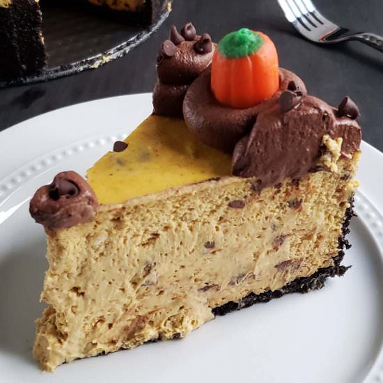 Pumpkin Chocolate Chip Cheesecake - Recipe photo by RaspberriesAndKohlrabi