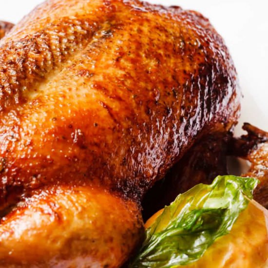 How Long to Cook a Turkey - Recipe photo by AllThingsMamma