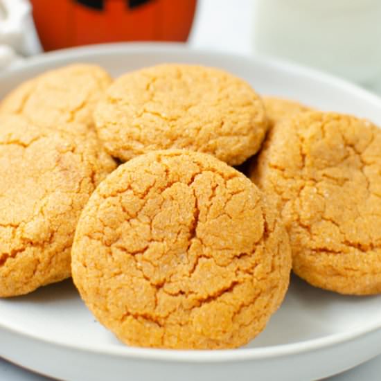 Pumpkin Pudding Snickerdoodles - Recipe photo by fakeginger