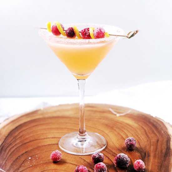 Vodka Lemon and Cranberry Cocktail - Recipe photo by Keeping It Simple