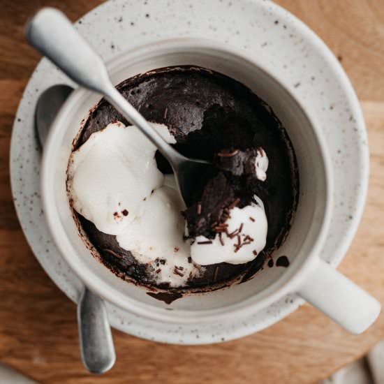 Hot Cocoa Mug Cake - Recipe photo by alpineella