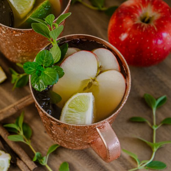 Cinnamon Apple Moscow Mule - Recipe photo by House of Elyn Ryn