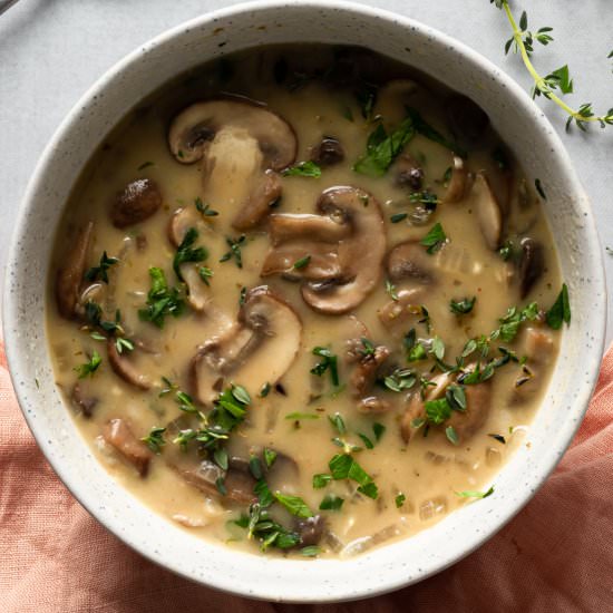 Vegan Cream of Mushroom Soup - Recipe photo by Zardyplants
