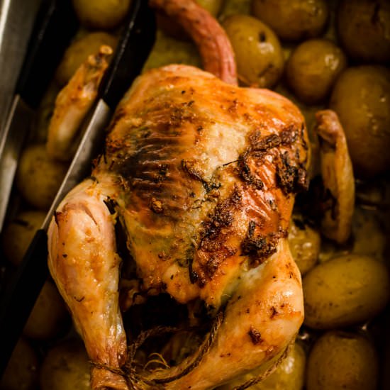 Roast Chicken and Potatoes - Recipe photo by tiffinandteaofficial