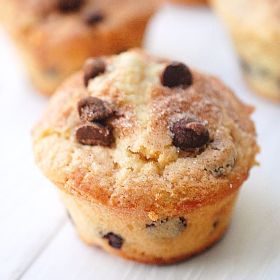 One bowl chocolate chip muffins - Recipe photo by evabakes