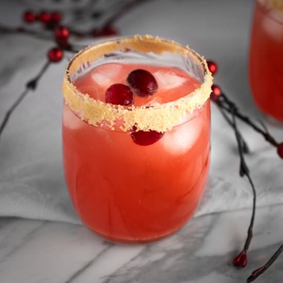 Cranberry Mocktail - Recipe photo by The Littlest Crumb